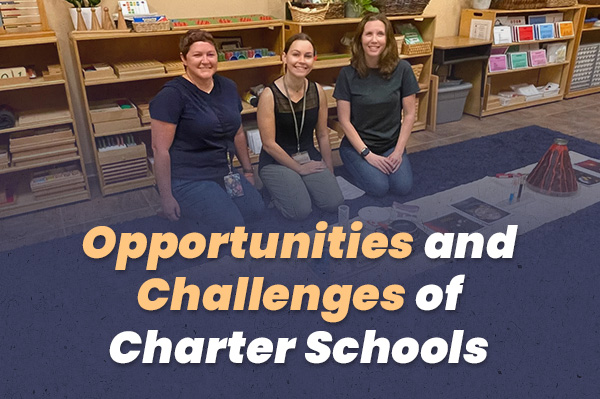 Charter schools
