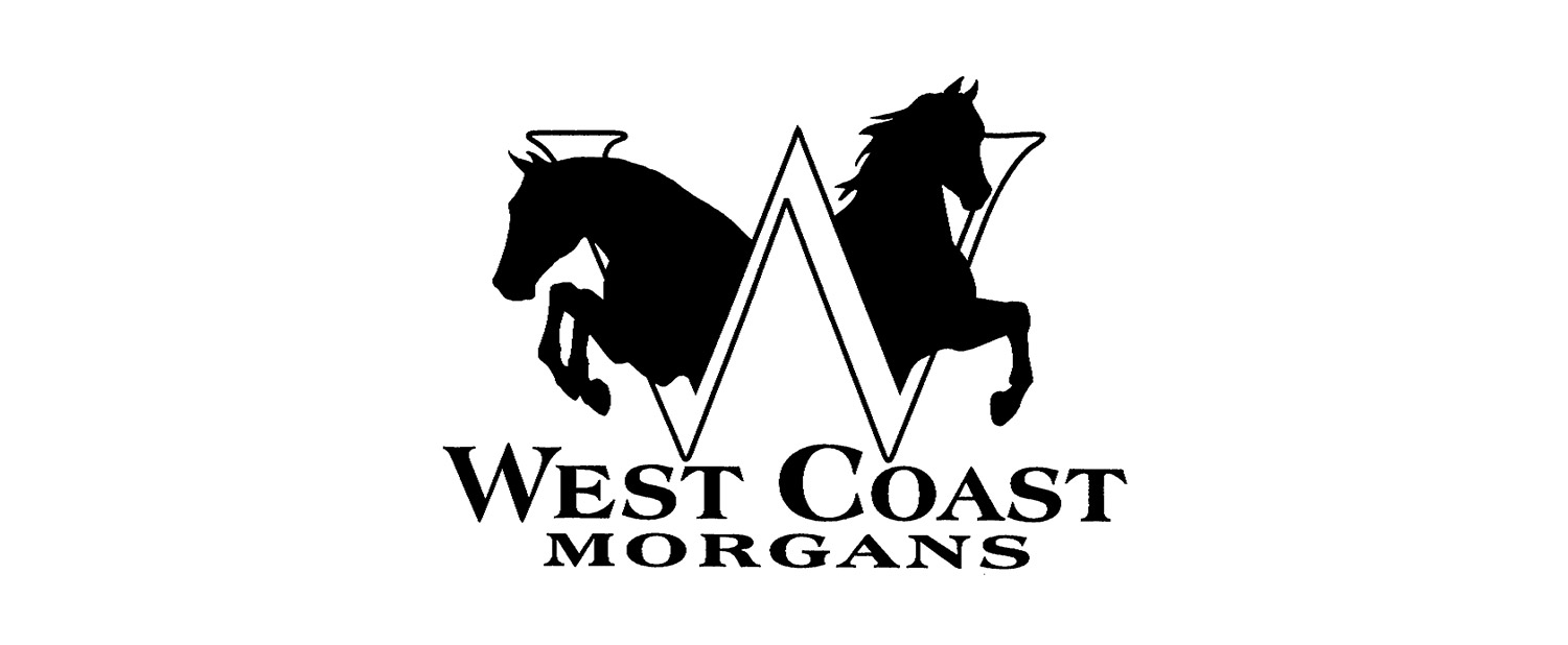 ba_westcoast-morgans